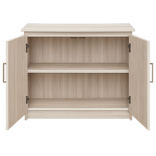 Load image into Gallery viewer, Office Cupboard Printa – 32″ × 32″ × 14″ Compact Storage Cabinet | Methuco